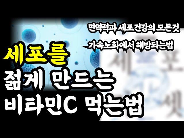 세포를 젊게 만드는 비타민c 섭취방법 / 면역력과 세포건강의 모든것 / 가속노화에서 해방되는 법