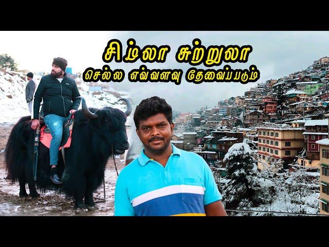 Shimla Travel Guide 2022  I  சிம்லா சுற்றுலா செல்ல Budget எவ்வளவு தேவைப்படும்  I Village Data Base