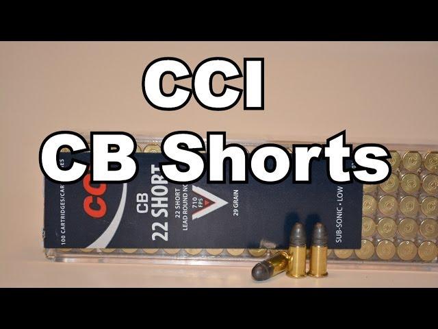 CCI Low Noise CB .22 Shorts in Semi-Auto Rifles