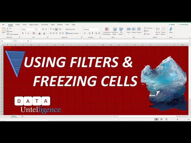 Using Filters and Freezing Cells in Excel - Cleaning Excel Data Series Part 3