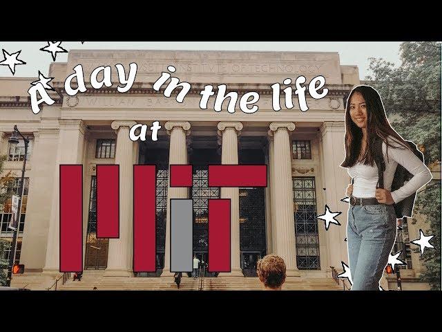 A (thicc) day in the life of a college student at MIT 