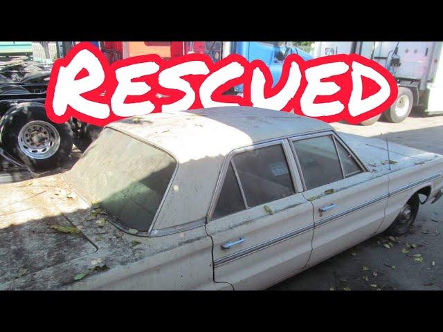 ABANDONED MOPAR, 1966 Plymouth Belvedere? Rescued?