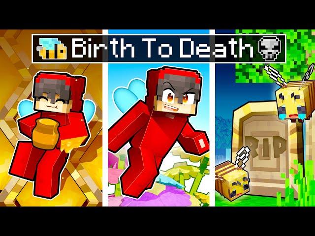 The BIRTH TO DEATH of a Minecraft Bee!