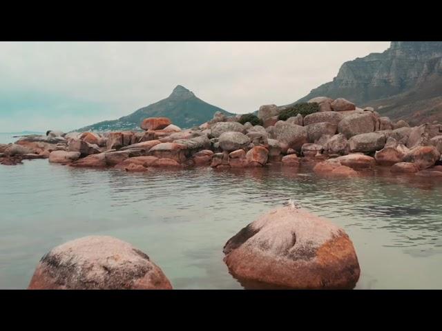 James Davies & Ben Watts - Rhododendron (ORIGINAL)