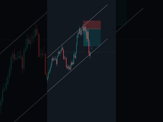 CHANNEL TRADING STRATEGY | CHANNEL TRADING #trading #forex #chartpatterns #priceaction