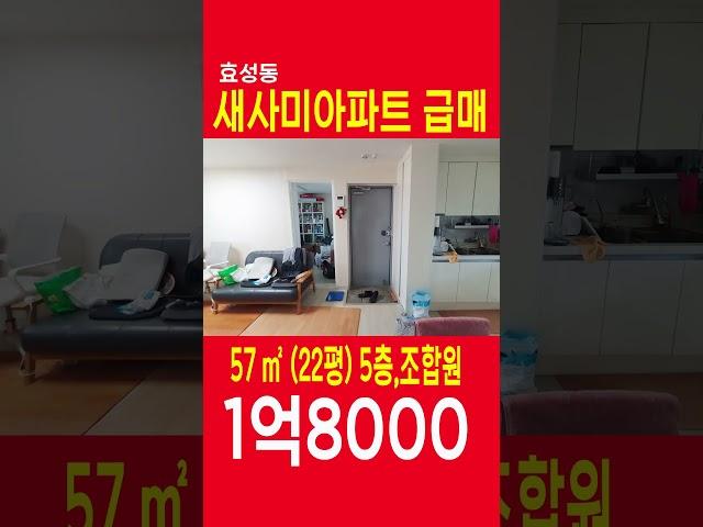 (거래완료) 효성동재건축급매 새사미아파트 22평급매 1억8000만원, 올수리, 이사협의, 정남향, 조합원승계 쇼츠 SHORTS