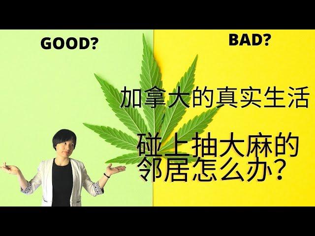 [006]真实的加拿大生活！碰上抽大麻的邻居怎么办？租公寓或买公寓前一定要避免的坑！（大麻爱好者请绕行）