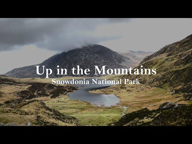 UP in the MOUNTAINS Ambience, Snowdonia National Park, Wales, UK | Relaxing Nature Sounds