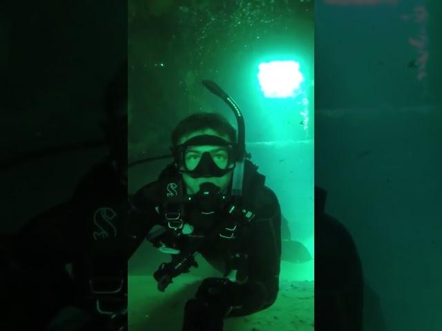 Exploring Inside a Shipwreck! Scuba Diving #SHORTS