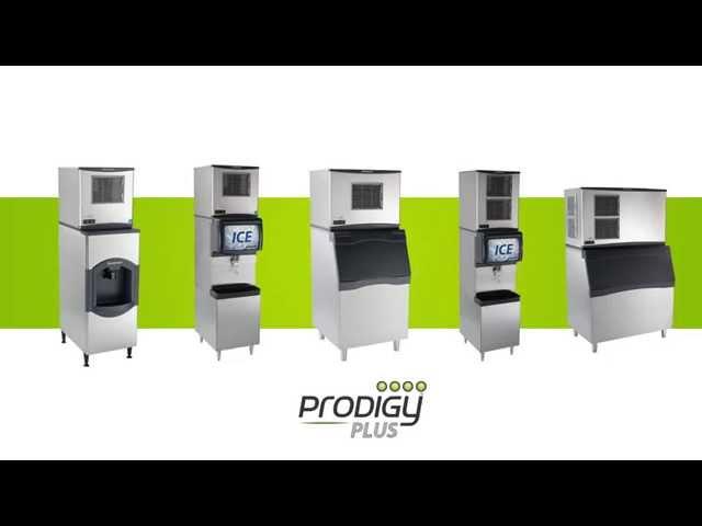 Prodigy Plus Animation