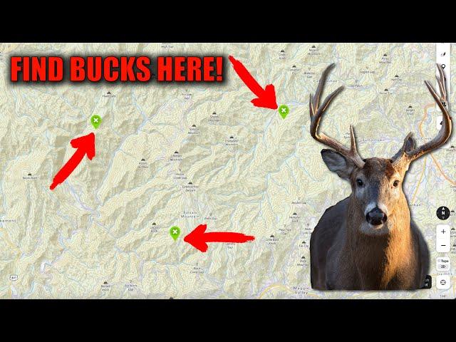 TOP 3 MUST-KNOW DEER FUNNELS YOU NEED TO SCOUT/HUNT!