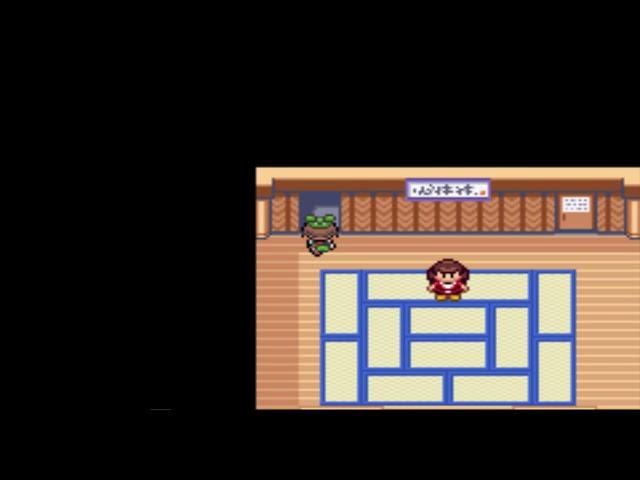 Pokemon Emerald: Norman's Gym "Puzzle" (Petalburg City Gym)