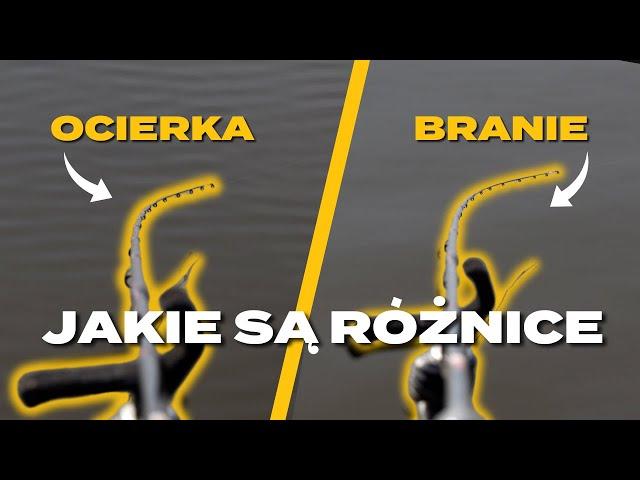 BRANIE? A może OCIERKA?