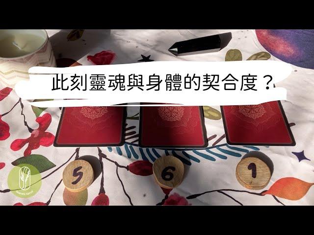 塔羅占卜現階段你/妳身體與靈魂的契合度？有什麼宇宙的隱藏訊息？ 艸艸Tarot | Pick a card.