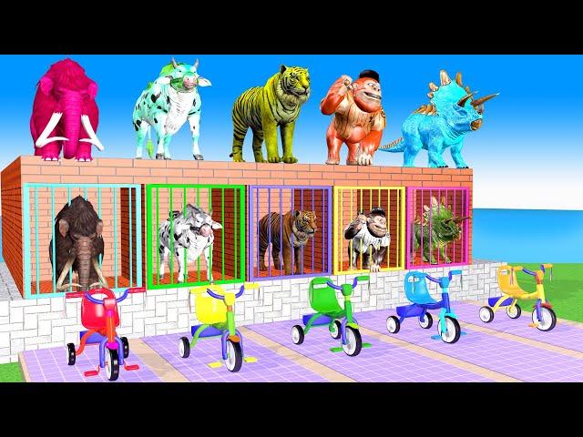 Cow Elephant Tiger Gorilla Hippo 3d Animal Long Slide Game Funny 3d Paint Animals Cage Game