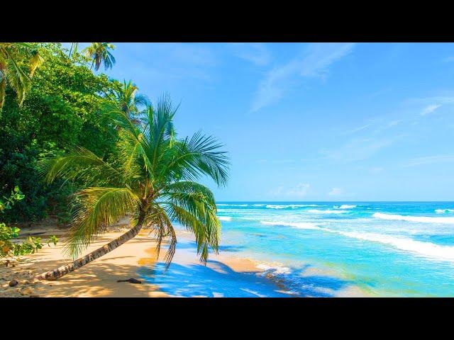 Summer Vibes 4K ️ Costa Rica ️ Travel the world 