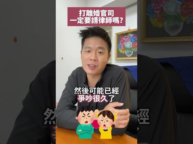 打離婚官司一定要請律師嗎？#流氓律師 #湛址傑 #法律