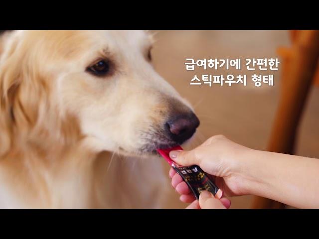 [PET] 반려동물 영양제 펫건강식품 홍보영상,  SNS광고영상 바이럴영상제작, 댕댕이간식