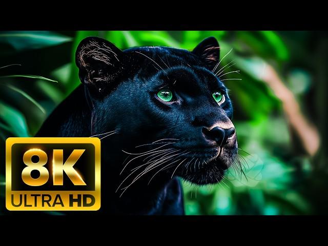 MAGNIFICENT PLANET WILDLIFE - 8K (60FPS) ULTRA HD - With Nature Sounds (Colorfully Dynamic)