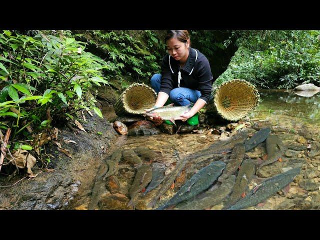 30 Days: Farm care and development | My Dream Farm - Phùng Thị Chài
