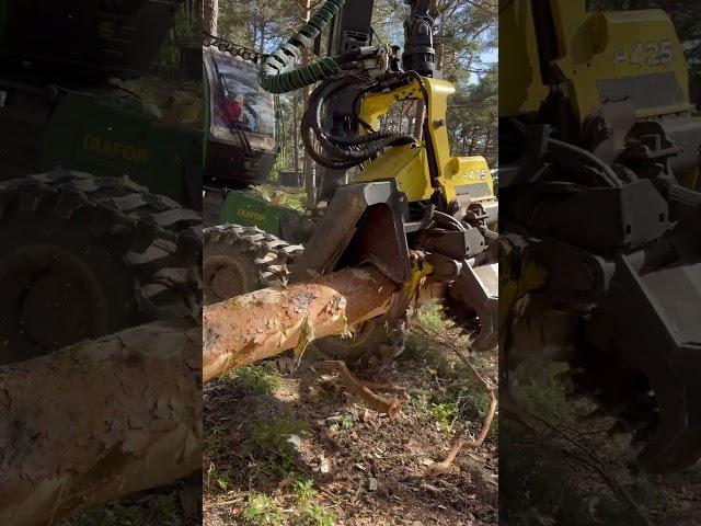 “Harvester:The Future of Tech Starts Now!” #forest #lumberjack #johndeere #harvester #technology
