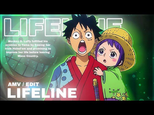 ONE PIECE [WANO ARC] – LIFELINE  AMV/EDIT  #onepiece #luffyedit #amv #animeedit