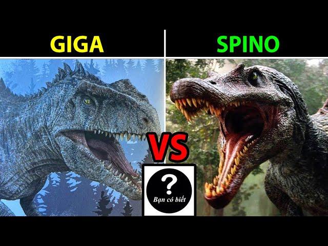 Giganotosaurus VS Spinosaurus JP3, con nào sẽ thắng 161 #ConNaoSeThang #bancobiet