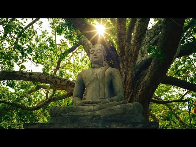 Buddha's Flute Music | Heart's Awaking