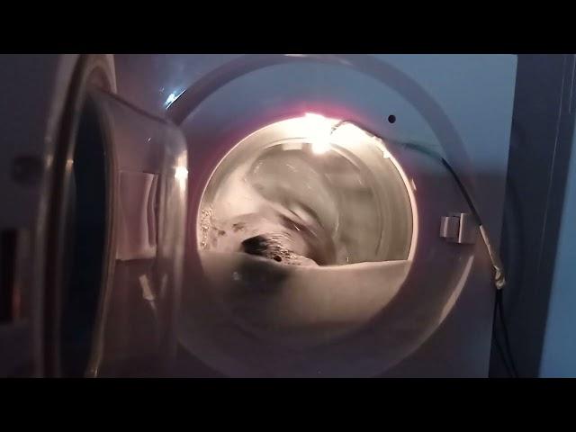 Miele toy washing machine open door washing