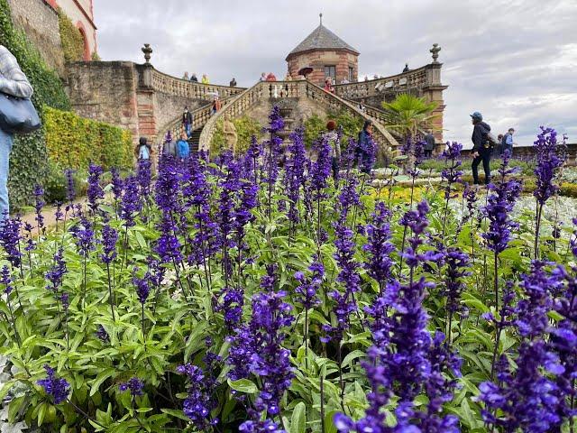 ALLURING SOUND OF RAIN WHILE WALKING IN A HEAVY RAINFALL IN MARIENBERG FORTRESS WÜRZBURG