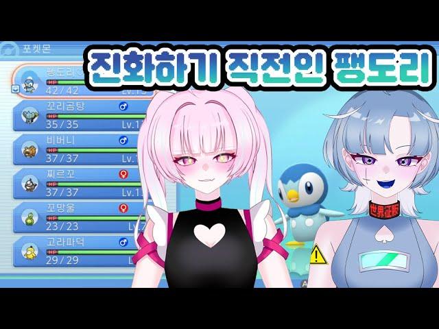 【포켓몬스터 브다】팽도리 진화 1초 전【디오페레타/사미무해】