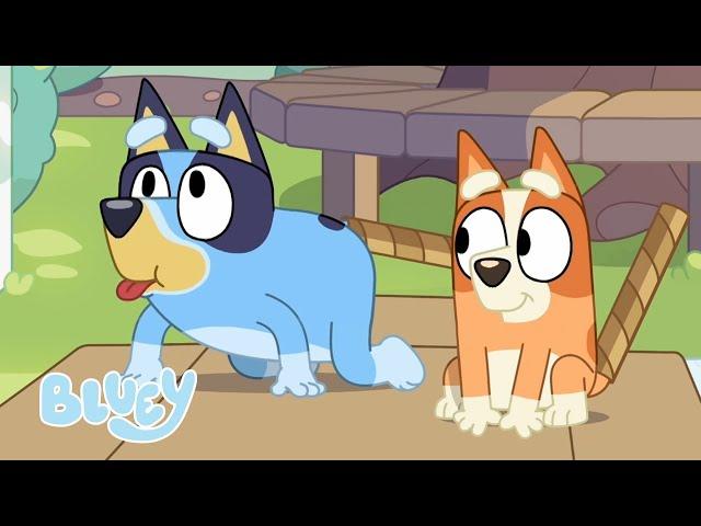 Vorgeben, Tiere zu Sein 🪛 | Bluey und Bingo Vorgabespiel | Bluey - Deutsch Offizieller Kanal