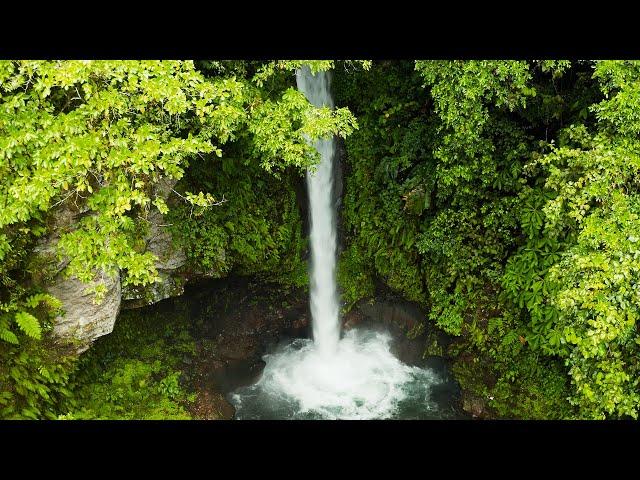 Echoes of the Sacred Forest - Native American flute music