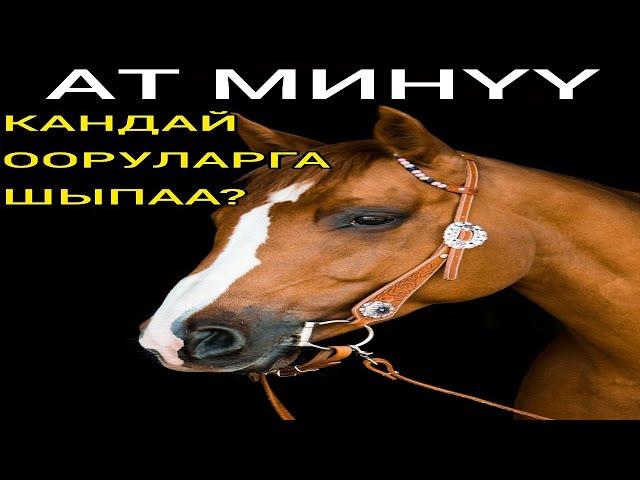 Ат минүү кандай оорулардан арылууга жардам берет? Эркектер үчүн чын эле пайдалуубу?