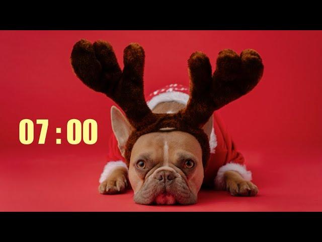 7 Minute Christmas Timer with Cute Dog and Music