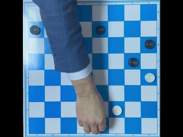 КРАСИВАЯ ИГРА В ШАШКИ #sports