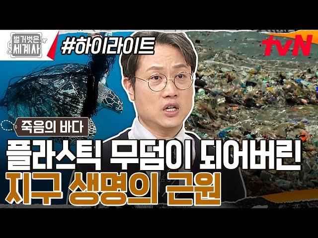 망망대해 충격적 쓰레기 섬들!! 플라스틱 쓰레기통 = 바다??  해양생물의 무덤이 되다... #highlight #벌거벗은세계사 EP.90