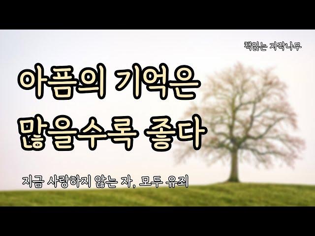 '우리들의 블루스' 노희경 작가의 첫번째 에세이 [지금 사랑하지 않는 자, 모두 유죄]