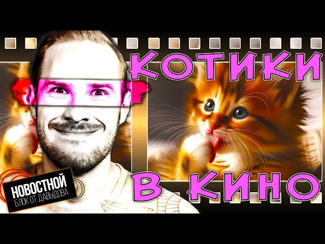 КОШАЧИЙ КИНОФЕСТИВАЛЬ | Ты меняешь моральные ценности четырежды в год! | Пьяные мухи