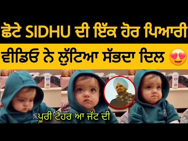 Little Sidhu Moose Wala New Lovely Video  ️