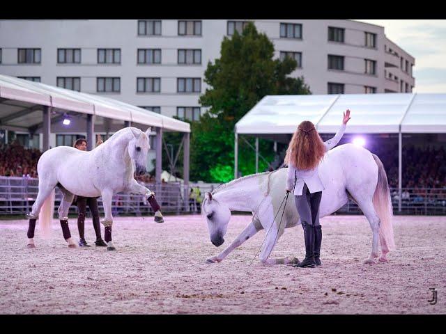 Performance together with Alizée Froment // Galashow Eurocheval 2022