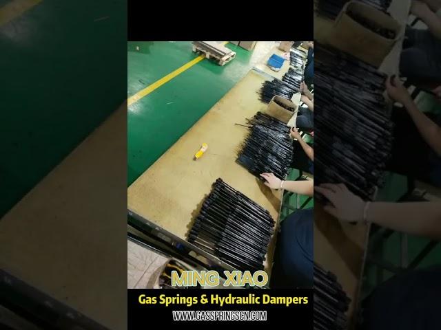 China Ningbo Gas Spring & Hydraulic Damper Manufacturer, custom qualified lifting struts