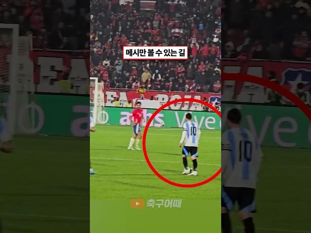 메시만 볼 수 있는 길