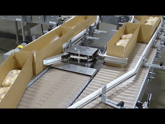 Conveyor Automation Capabilities with Nercon