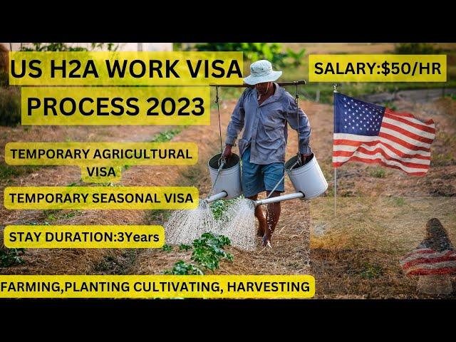 US H2A Work Visa Process 2023 (Temporary Agriculture Visa)#USA#usavisas #usvisa #us #usworkvisa