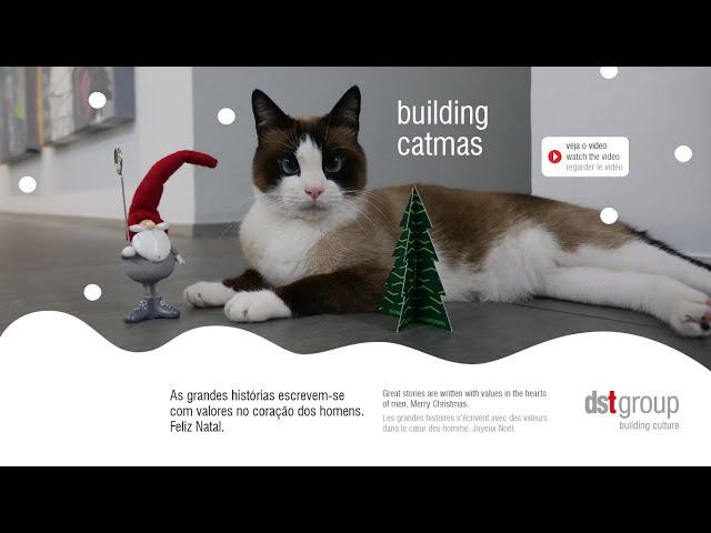 Natal dstgroup 2019 - Building Catmas