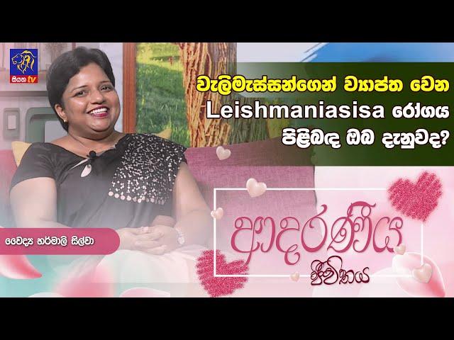 වැලිමැස්සන්ගෙන් ව්‍යාප්ත වෙන Leishmaniasis රෝගය පිළිබඳ ඔබ දැනුවද?| Adaraneeya Jeewithaya