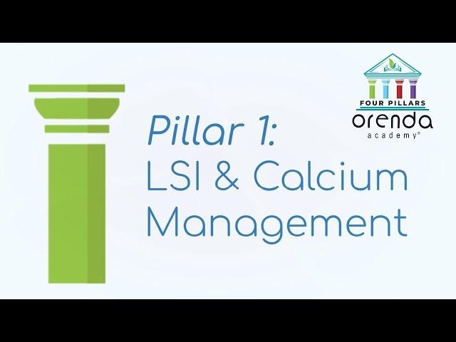 Calcium and LSI Management | Pillar 1 | Orenda Four Pillars