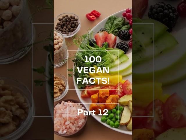 100 Vegan Facts #12/100 #FactOasis - Check the Comments for Vegan Recipes! #plantbased #veganfacts