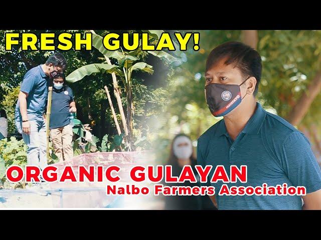 Organic Gulayan | Nalbo Farmers Association